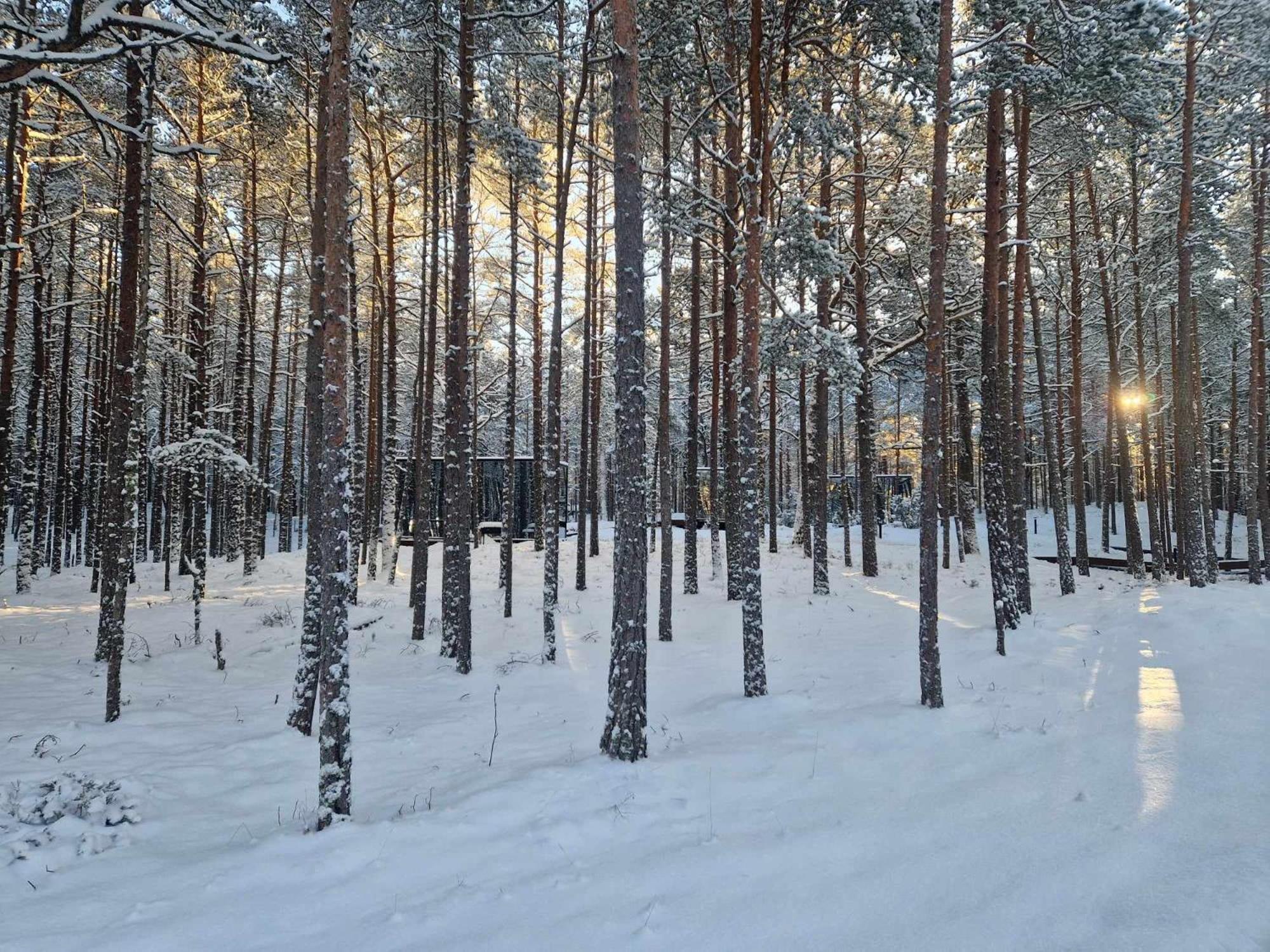 Oeoed Hoetels Lohusalu Leida & Enno Лауласмаа Экстерьер фото